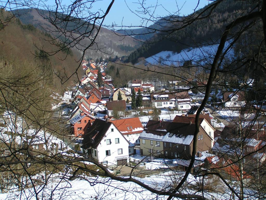 Harz Iris