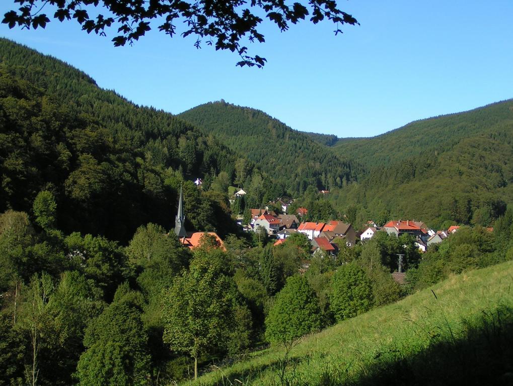 Maison d'hôtes Harz Iris